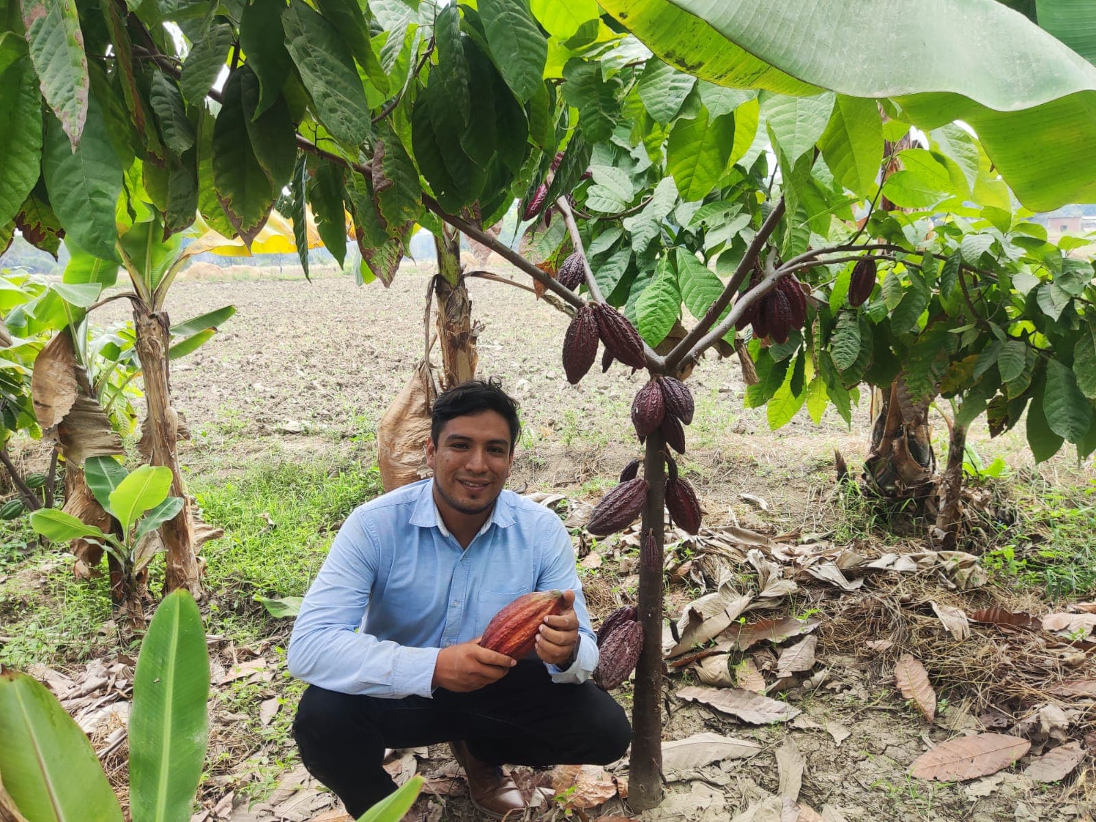 Andenex – Asociatividad para la Agroexportación